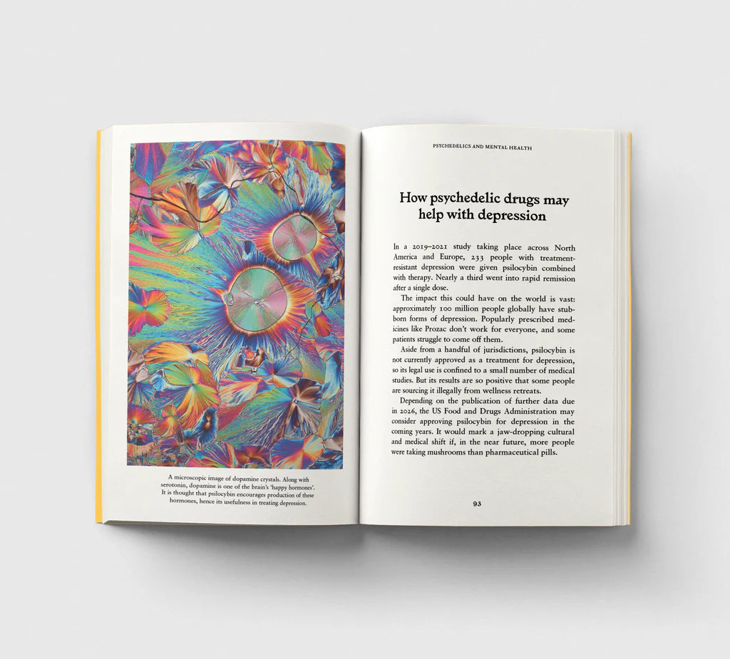HOXTON MINI PRESS - Psychedelics, A Pocket Primer