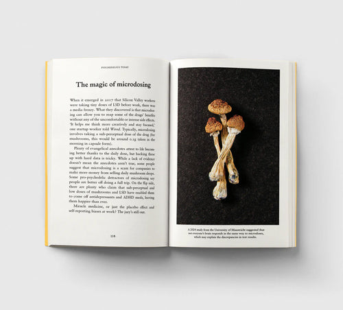 HOXTON MINI PRESS - Psychedelics, A Pocket Primer
