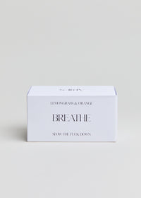 HOROSOAPS - ARIES Soap Bar