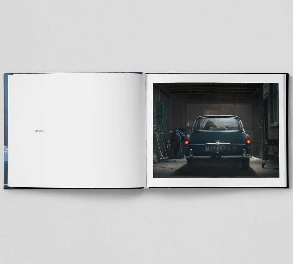 HOXTON MINI PRESS - The Silence Of Dogs In Cars