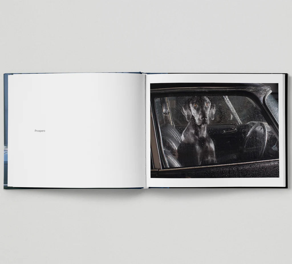 HOXTON MINI PRESS - The Silence Of Dogs In Cars