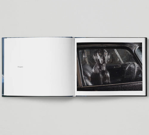 HOXTON MINI PRESS - The Silence Of Dogs In Cars